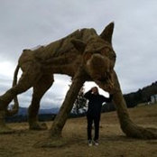 Damien Weynachter's photo