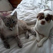 Robin Jefferson's photo