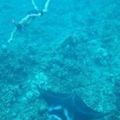 Mark Mason's photo
