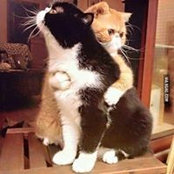 Jenny Ling's photo