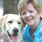 Lynn Morrow's photo
