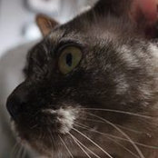 Paul Cryan's photo