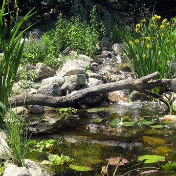 A Close Up of Some of Our Favorite Landscapes