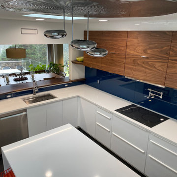 IKEA Kitchen gives Midcentury home some Modern appeal