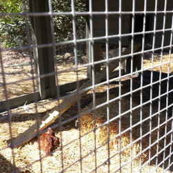 10' x 20' Chicken Coop - Products