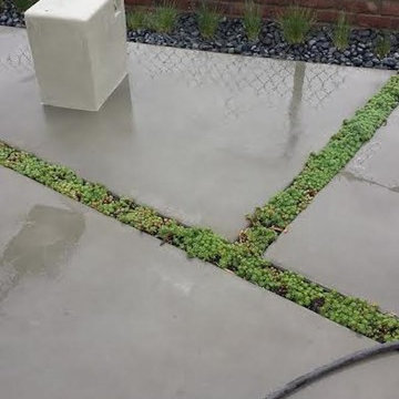 Cement