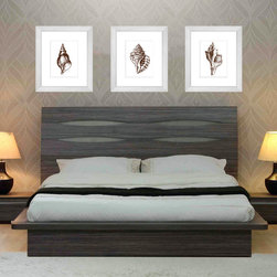 Chocolate Shells in situ - Artwork