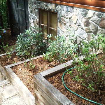 Landscape & Foundation