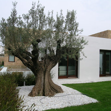 stone house in valencia