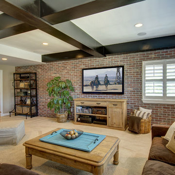 Basement TV Wall