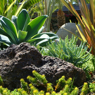 San Juan Capistrano 2012