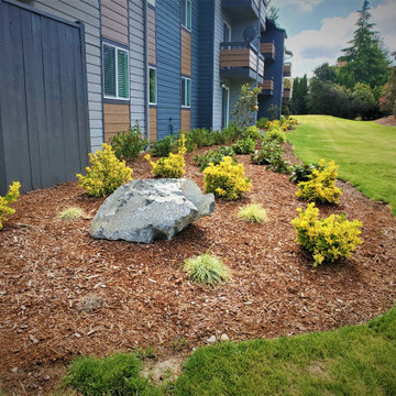 New Landscape Deign