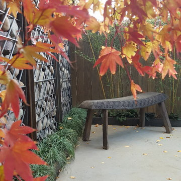 Northern Liberties Backyard