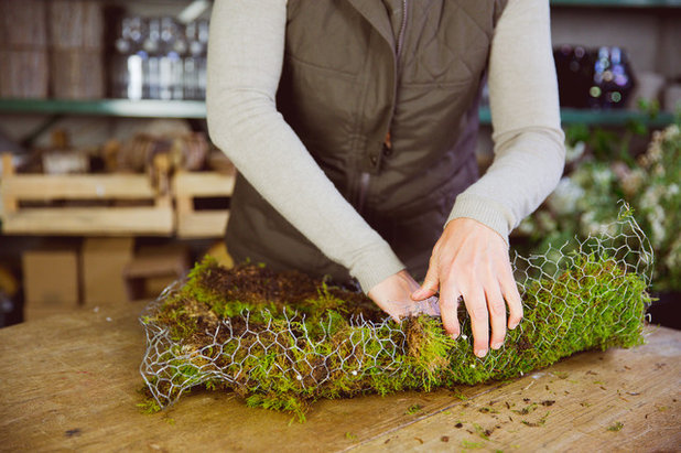 Фьюжн  by Ann Verborg