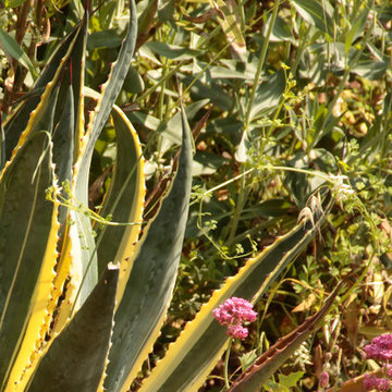 JARDIN & MURETTES