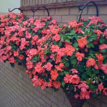 backyard patio