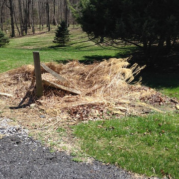 Spring Clean-up