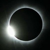 Sharon Thomas's photo
