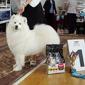 Анна Миронова's photo