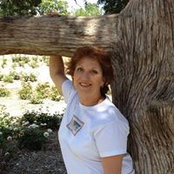 Becky Beachboard's photo
