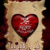 Mohamed Kandil's photo