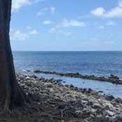Akilah Cobham's photo