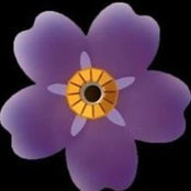 Կանգ առ ժամանակs foto