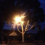Deb Chapman's photo