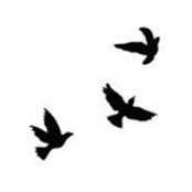 Angela Terilli's photo