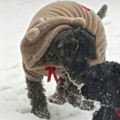 Michael Jacqueline Helton's photo
