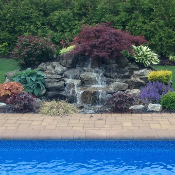 Pond Paradise Designs assorted photos