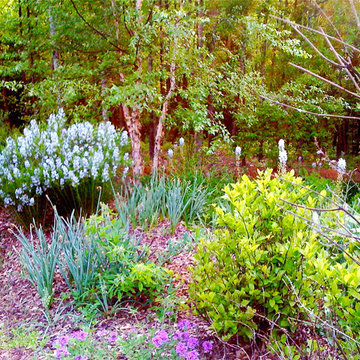 Green Springs: Growing a New Old Garden
