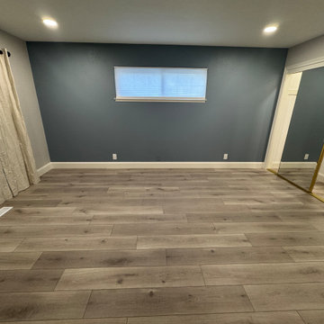 Home Remodel/ One Bath/paint/popcorn removal/LED Can lights/baseboards/Flooring