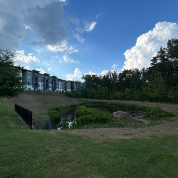 Professional Landscape Maintenance & Outdoor Cleanup
