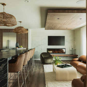 Almaden Home Complete Remodel