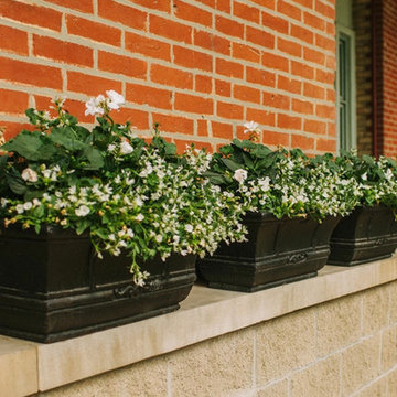 Window Boxes & Planters