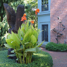 lalennoxa's garden