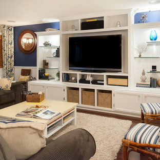 Photo of a large nautical look-out basement in Chicago with dark hardwood flooring and blue walls.