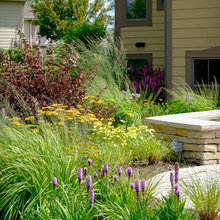 Xeriscape