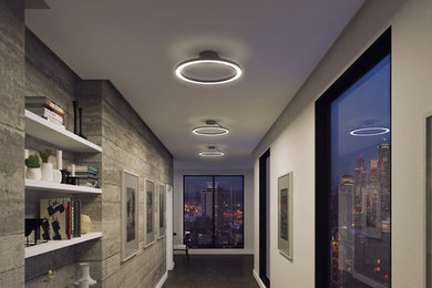 Example of a minimalist hallway design in New York