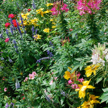 Annuals & Perennials