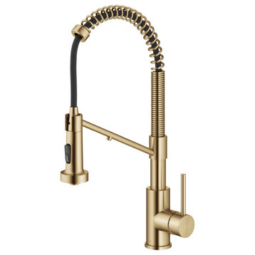 Bolden Commercial Style 2-Function Pull-Down 1-Handle 1-Hole Kitchen Faucet, Brushed Brass (Filter Kitchen Faucet)