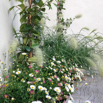 Small town garden