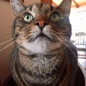 Stephanie Fitzgerald's photo