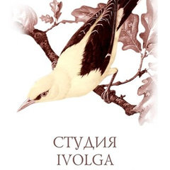 Дизайн-бюро "Ivolga"