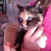 Tamra Rogers's photo