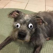 Barry Morguloff's photo
