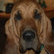Lynn Hilderbrand's photo