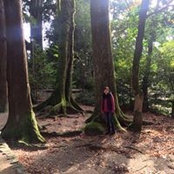 山火真弓s foto