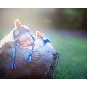 Trinh Force's photo